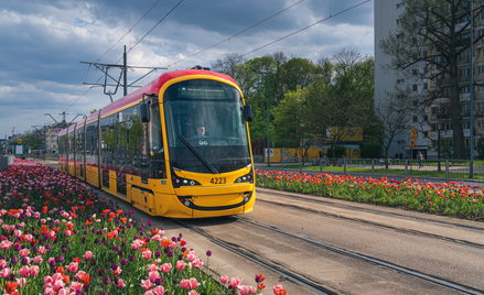 Miasta inwestują w tramwaje