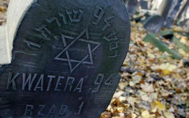 Międzynarodowe sprzątanie cmentarza żydowskiego