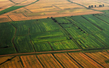 Sprzedaż gruntów rolnych: to już koniec wolnego handlu ziemią