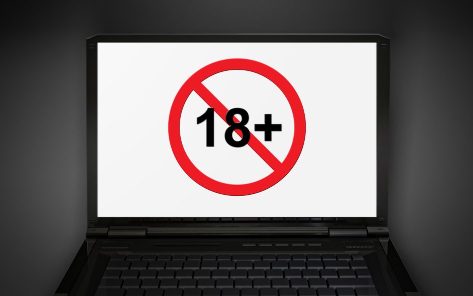 Skarbówka uznała, że wirtualny seks nie jest prostytucją.