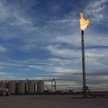 Czy USA pozwie OPEC?