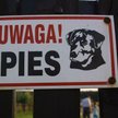 Zadośćuczynienie za pogryzienie przez psa w Wigilię będzie wyższe