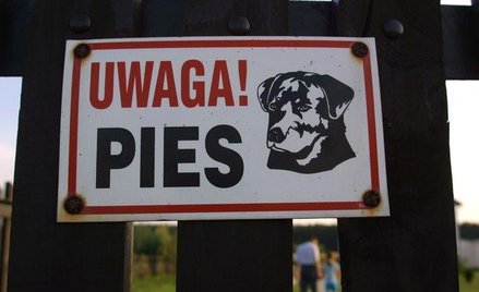 Zadośćuczynienie za pogryzienie przez psa w Wigilię będzie wyższe
