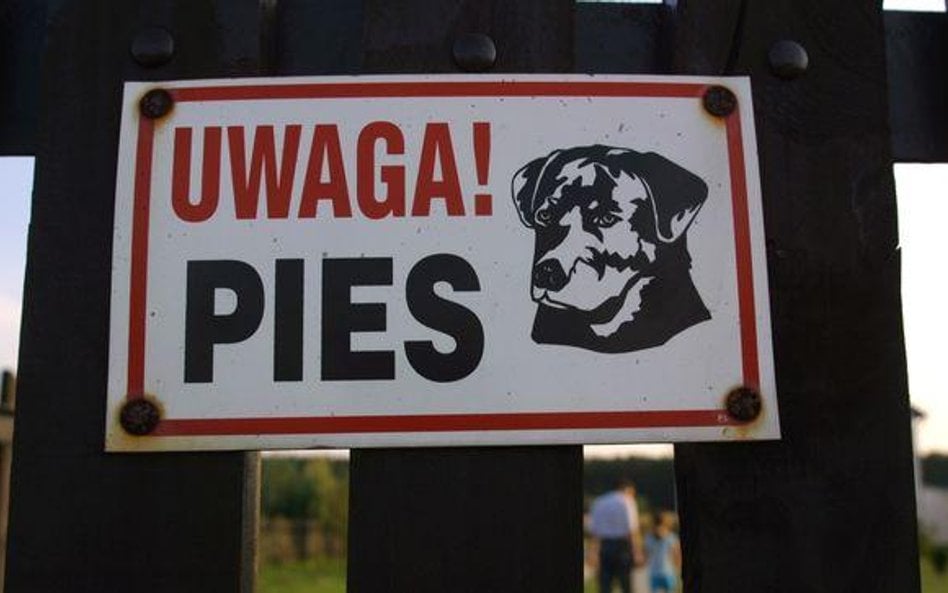 Zadośćuczynienie za pogryzienie przez psa w Wigilię będzie wyższe