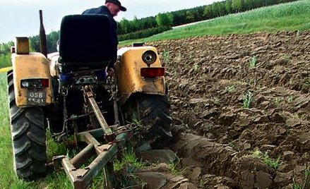 Choć w Polsce spada liczba gospodarstw rolnych, a ich powierzchnia stopniowo rośnie, liczba osób, kt