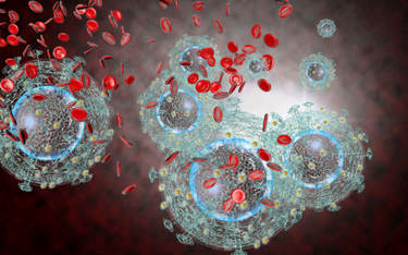 Mutacja genu dająca odporność na HIV zwiększa ryzyko wczesnej śmierci