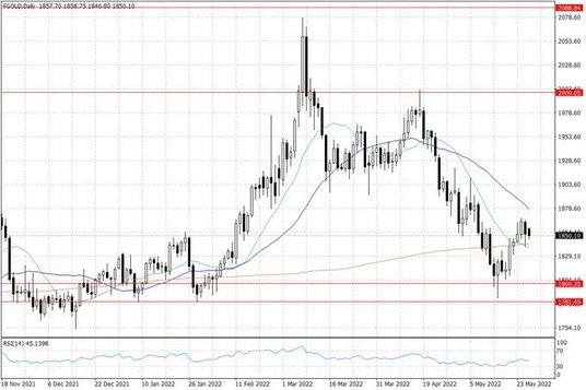 Notowania złota – dane dzienne