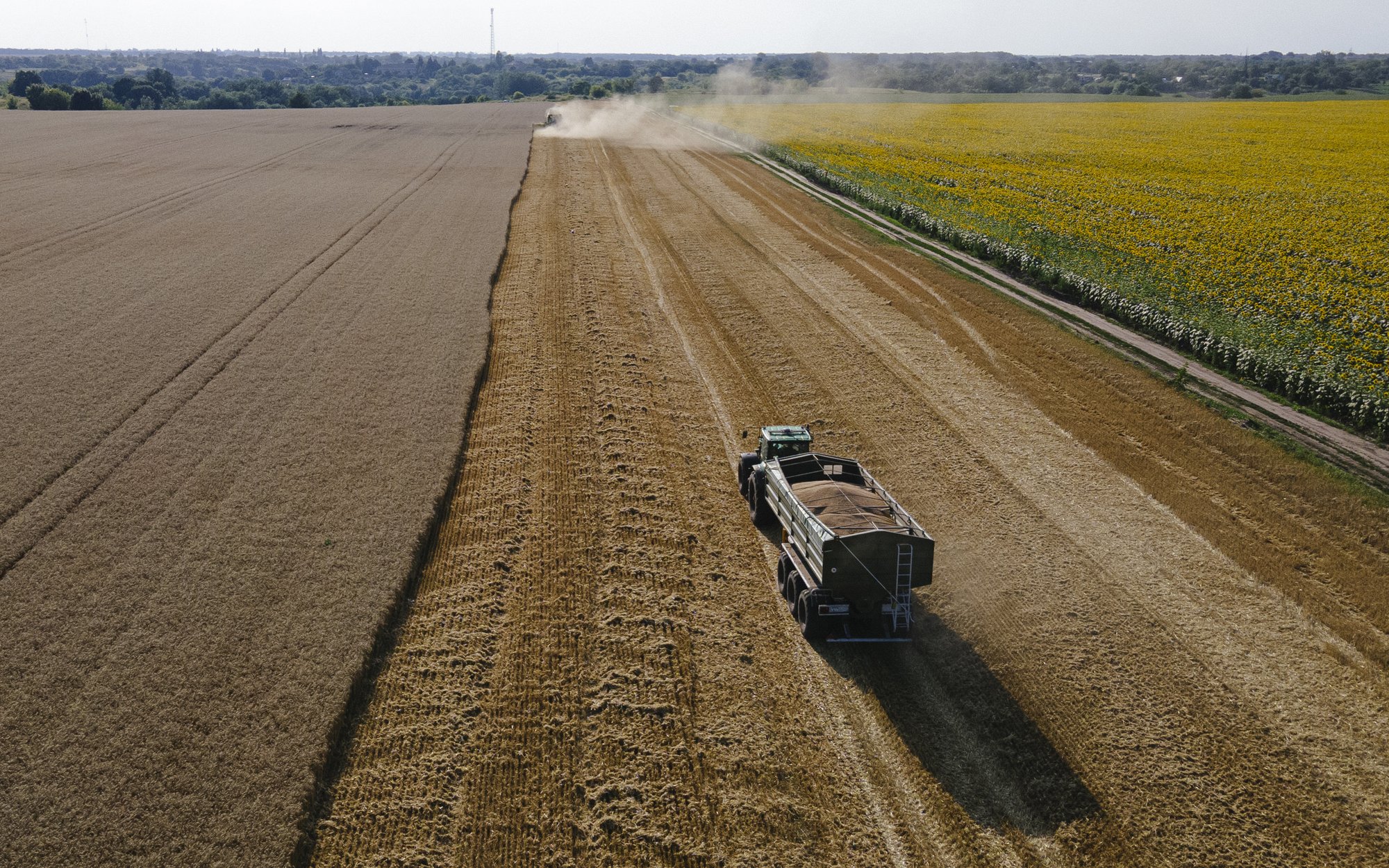 Izrael już nie chce kradzionego zboża. Importerzy rezygnują z dostaw z Rosji