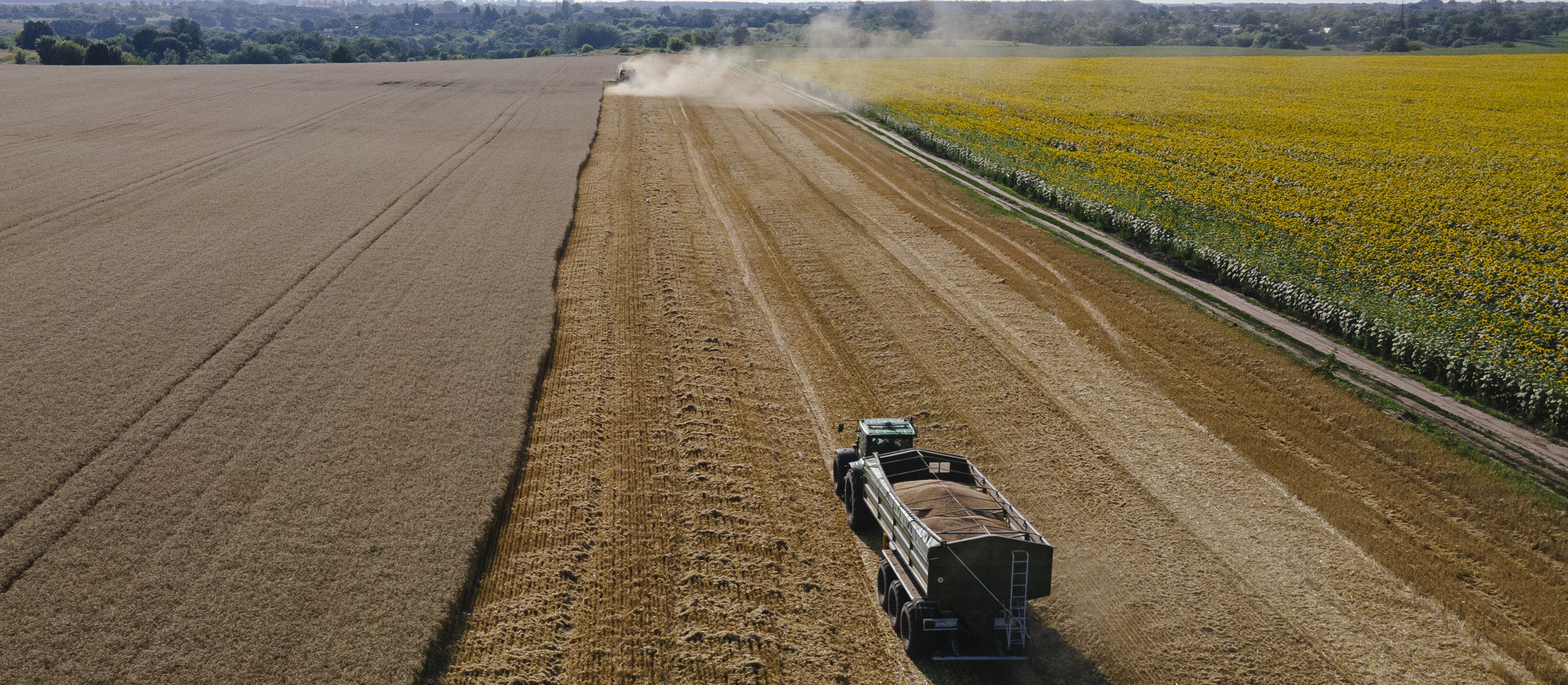 Komisja Europejska grozi Polsce procedurą za blokadę ukraińskiego zboża