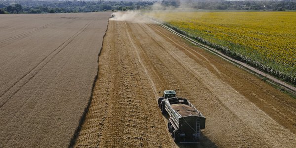 Izrael już nie chce kradzionego zboża. Importerzy rezygnują z dostaw z Rosji