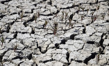 Hiszpania wyda miliardy na złagodzenie skutków zmian klimatu