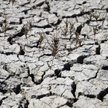 Hiszpania wyda miliardy na złagodzenie skutków zmian klimatu