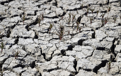 Hiszpania wyda miliardy na złagodzenie skutków zmian klimatu
