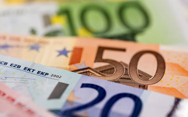 Krzysztof Adam Kowalczyk: Droga do euro równie ważna jak cel