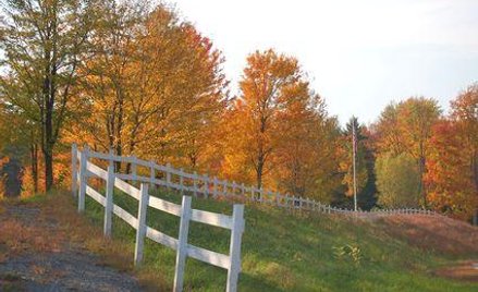 Jak chronić grunty rolne rozstrzygnie Sejm