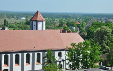 Zamek w Kożuchowie widok z wieży kościelnej.