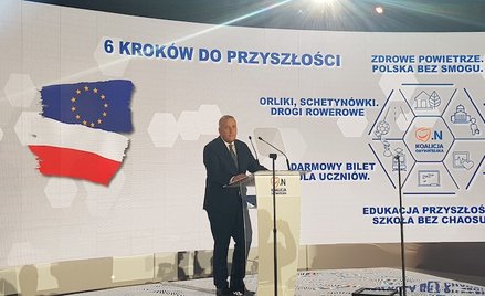 Szułdrzyński: Ryzykowne sojusze Schetyny