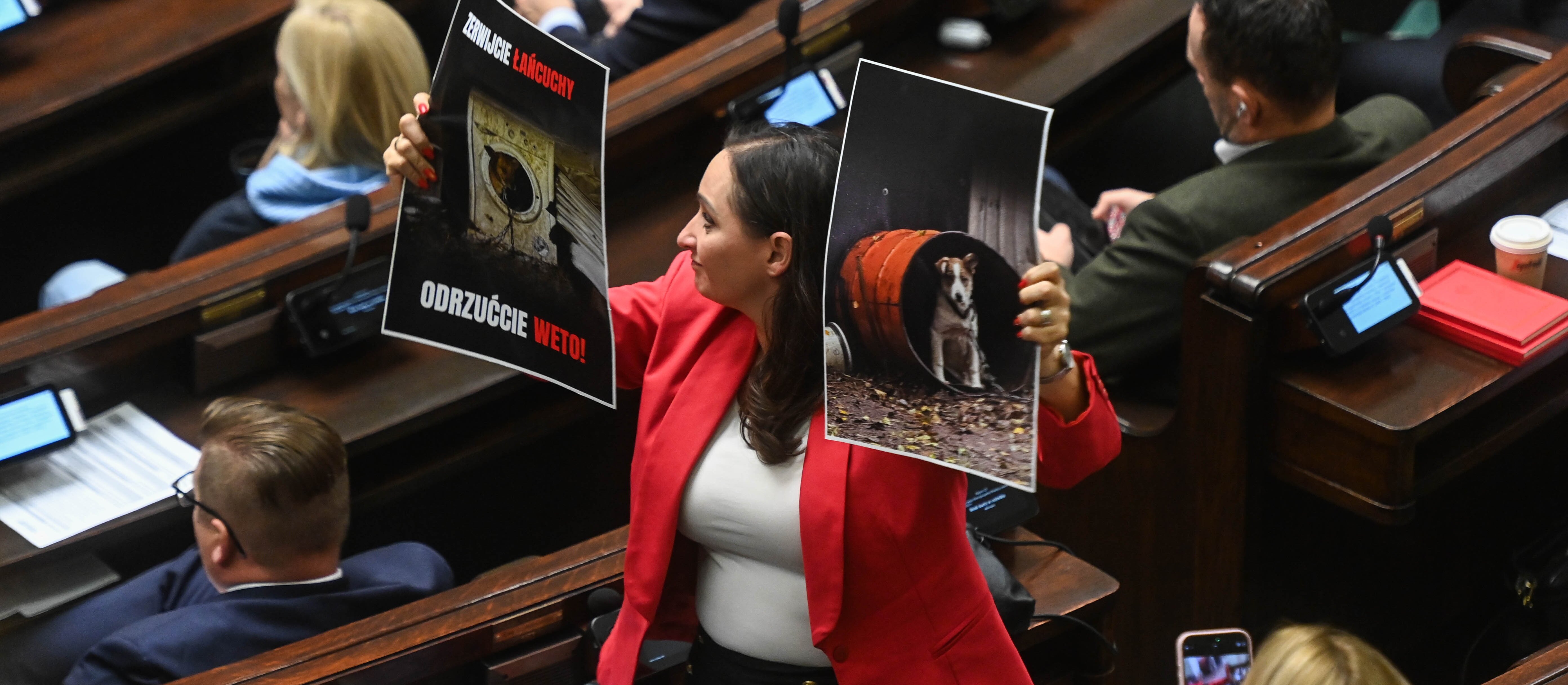 Sejm zagłosował nad odrzuceniem weta prezydenta do ustawy łańcuchowej. Jak głosowali posłowie?