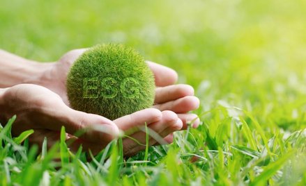 BOŚ chce finansować więcej zielonych projektów