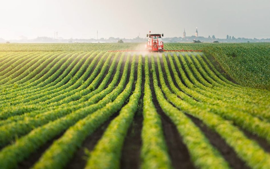 Innowacje są ważnym elementem prowadzenia zrównoważonej produkcji rolnej