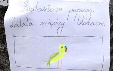 Dziewięciolatka pyta: Kto zgubił papugę?
