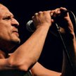 Paweł Kukiz (ur. 1963), lider zespołu Piersi, współtworzył także inne polskie grupy: Hak, Aya RL, Em