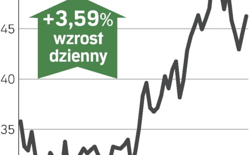Pogłoski o kupnie przez Volkswagena