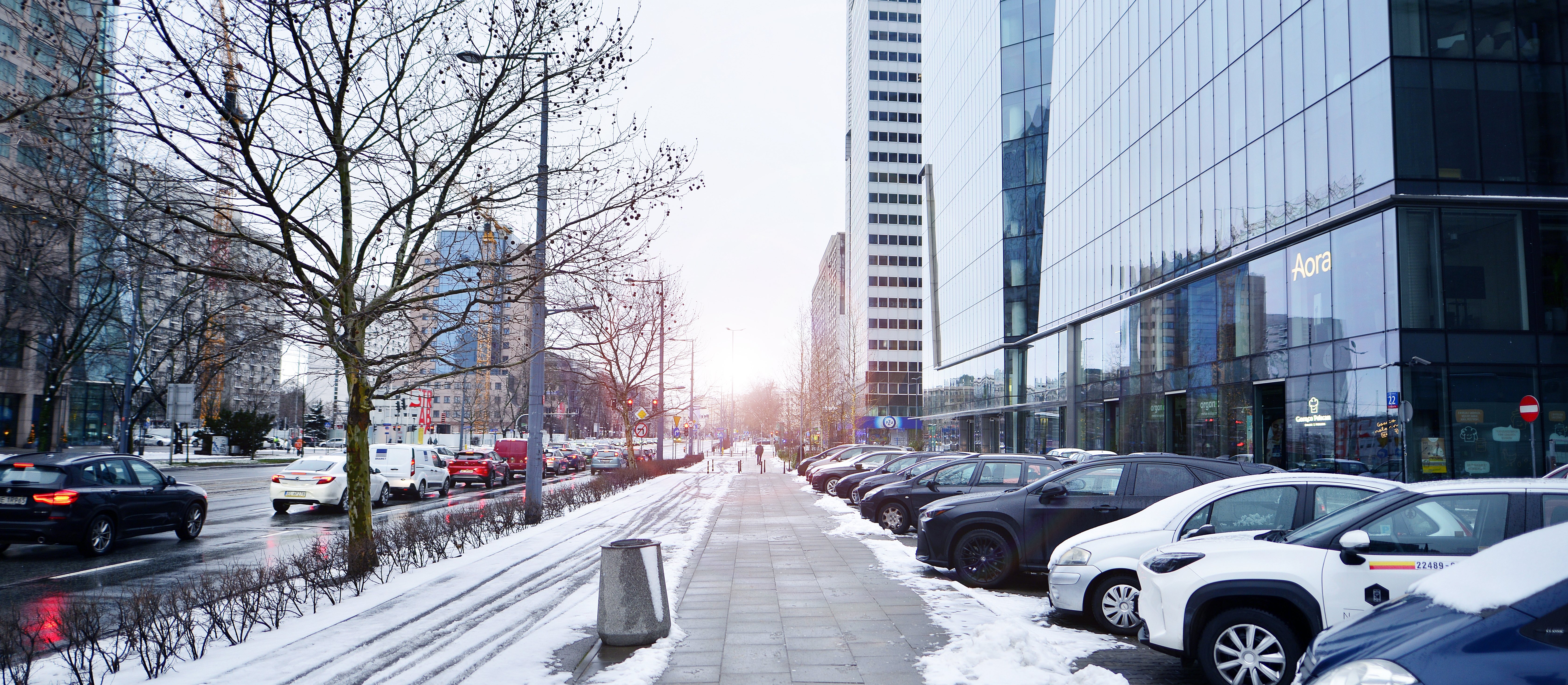 Witold M. Orłowski: Record-Breaking Long Rest