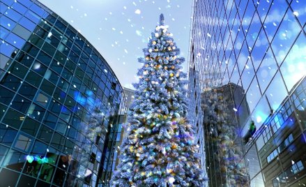 Pracodawca nie odpowiada za zachowanie pracowników na prywatnych imprezach, ale na służbowych już ta