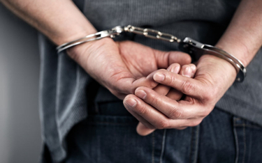 USA: Aresztowano ponad 40 osób powiązanych z sycylijską mafią