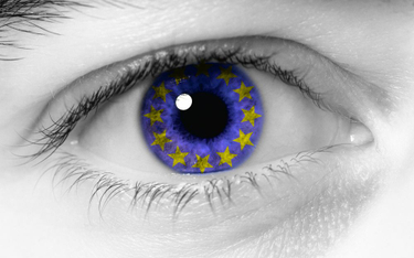 Integracja to równość partnerów - Andrzej Bryk o suwerenności narodowej w UE (część 2)