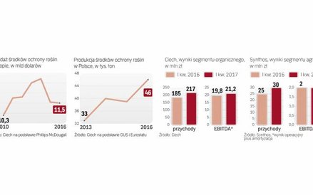 Choć rynek się skurczył, krajowi producenci zwiększyli moce