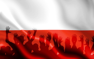 MSZ przyznaje: Polonia niezadowolona z likwidacji głosowania korespondencyjnego