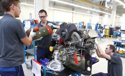 Praca: Lawina wakatów