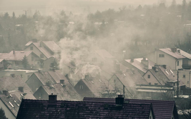 Smog: Minister środowiska chce obniżyć o połowę normy zanieczyszczenia powietrza
