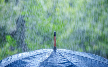Fundusz parasolowy – co to jest i w jaki sposób działa?