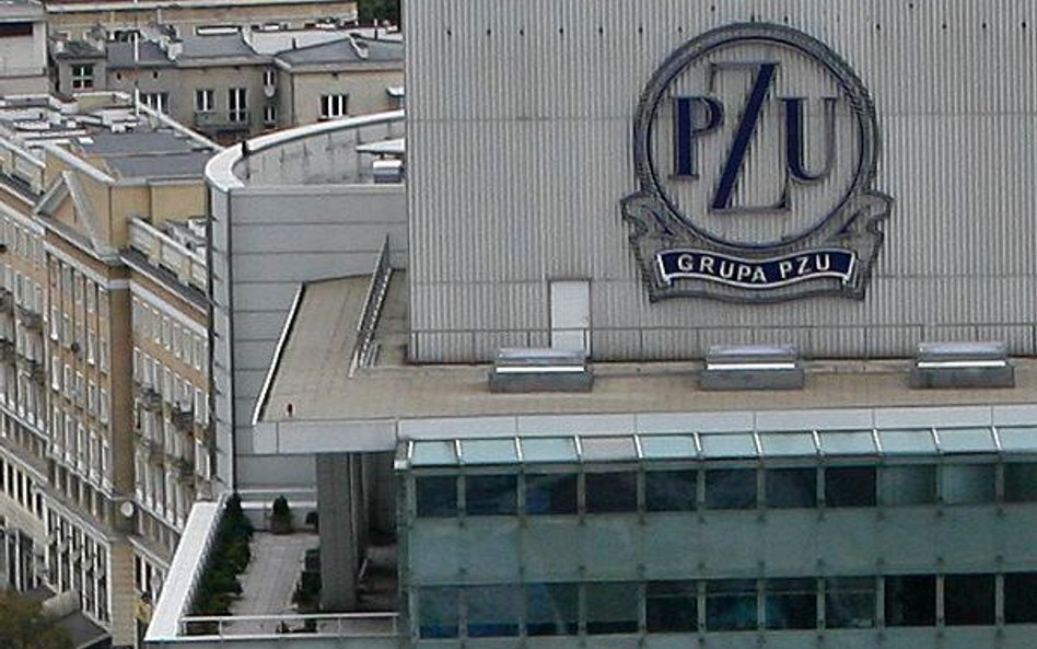 Bilans płatniczy zawiera dwie niespodzianki związane z PZU. Jedną z nich są kwoty przekazane Holendr