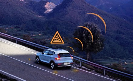 Gdy twój samochód grzebie w sieci