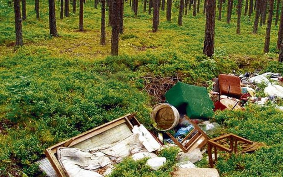 Polacy wyrzucają dokumenty lekką ręką. A inne śmiecie – z lekkim sercem