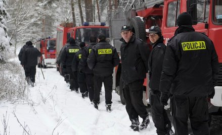 Źródłem wzrostu liczby zaginięć nieletnich mogą być zdaniem niektórych porwania i handel dziećmi. Na