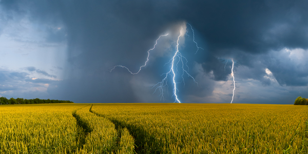 IMGW ostrzega przed burzami. W całej zachodniej Polsce alerty pierwszego stopnia