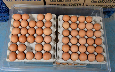 Cena jajek w USA mocno wzrosła