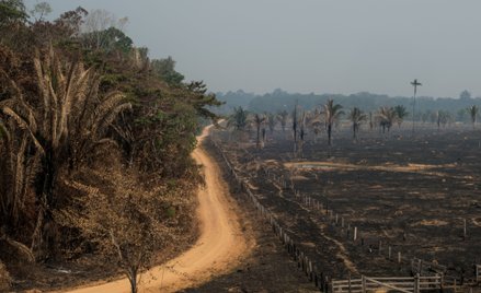 90 proc. Brazylijczyków zaniepokojonych zmianą klimatu