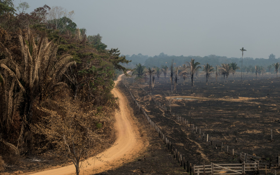 90 proc. Brazylijczyków zaniepokojonych zmianą klimatu