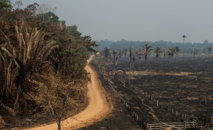 Ekipa prezydenta Jaira Bolsonaro niszczy Amazonię