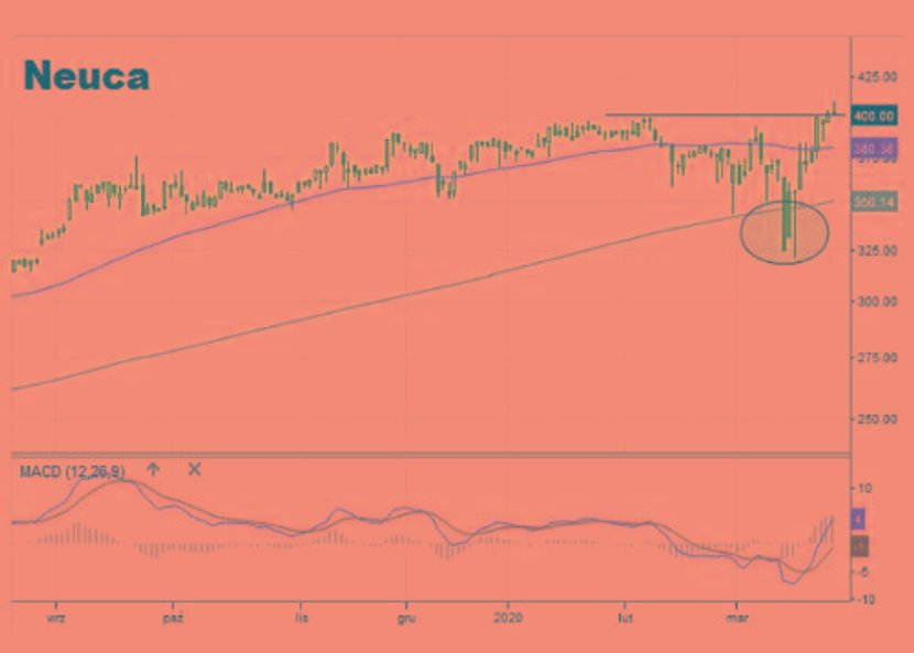 Gdy większość podmiotów na giełdach nie może znaleźć cenowego dna, kurs akcji Neuki wyznacza history