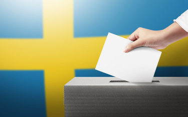 Anna Nowacka-Isaksson: Wysyp wyborczych propozycji