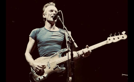 Sting należy do grona najpopularniejszych gwiazd w Polsce