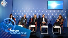 zdjęcie debata Vienna