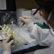 Wyniki Biomedu w cieniu Pfizera